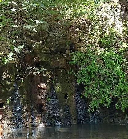 Entre Montana Y Playa