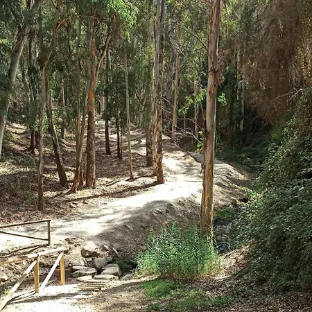 Entre Montana Y Playa Appartement *